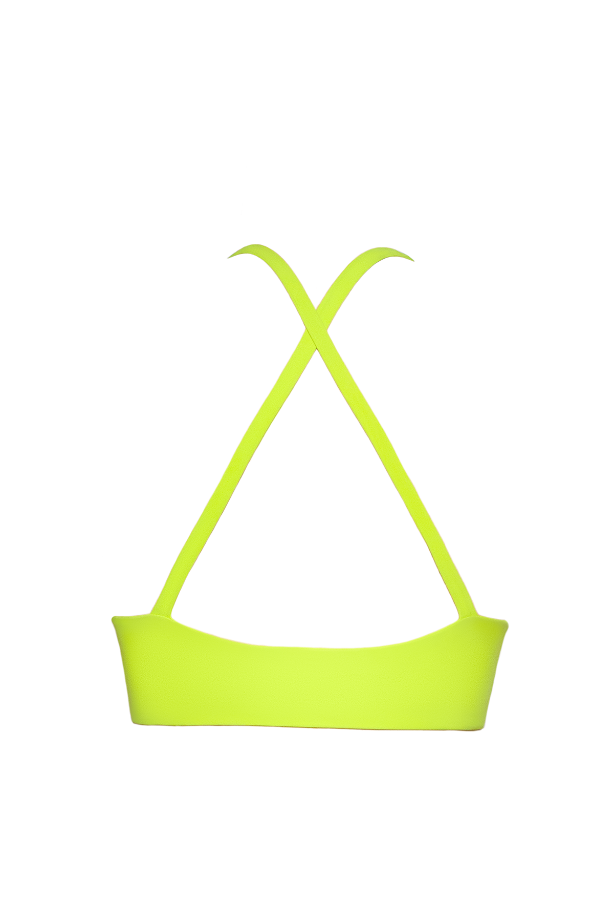 Neon Palms Bra Top