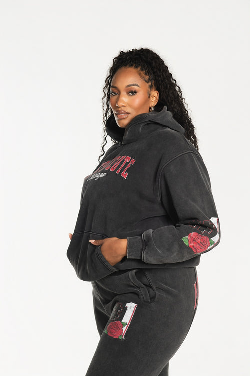 Load image 1 in gallery view. Team KIC Hoodie